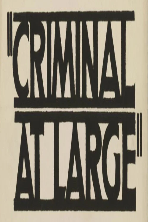 Movie poster for A Criminal at Large (1939)