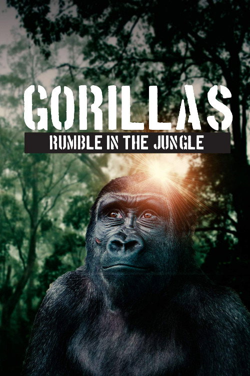 Movie poster for Gorillas: Rumble in the Jungle (2020)