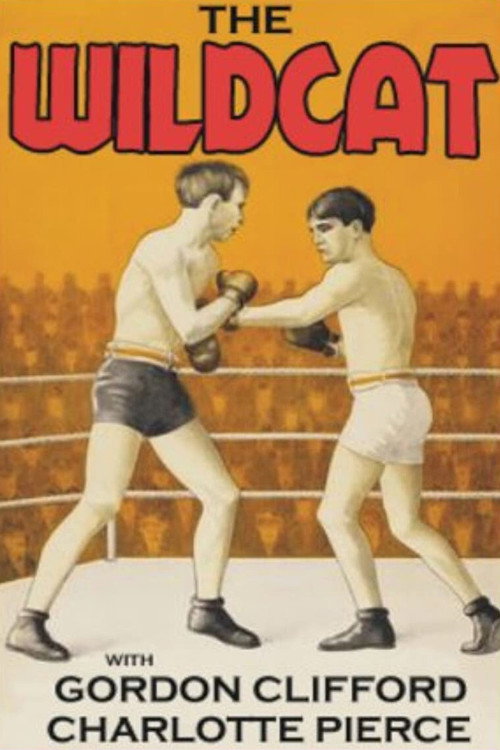 Movie poster for The Wildcat (1925)