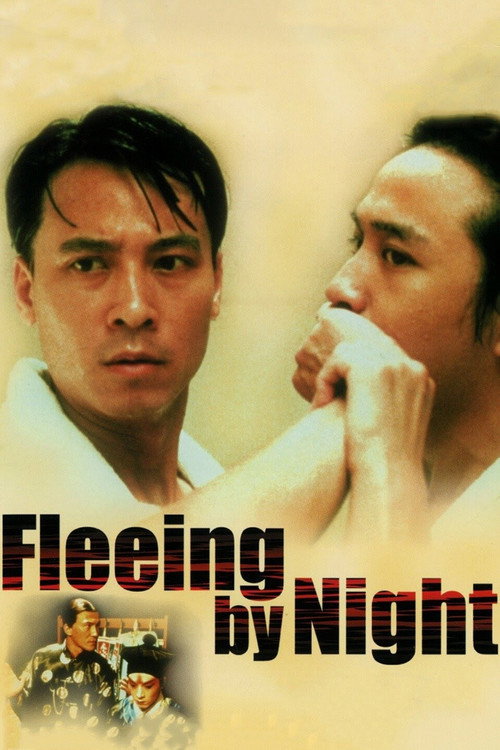 Movie poster for Fleeing by Night (2000)