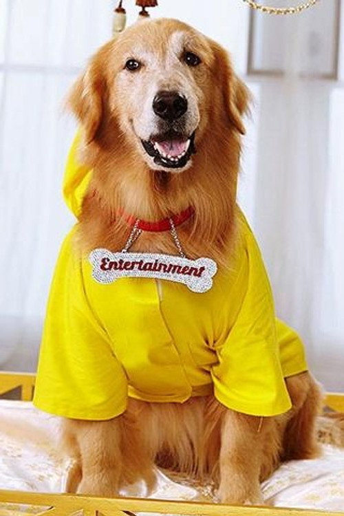 Photo of Junior, Acting