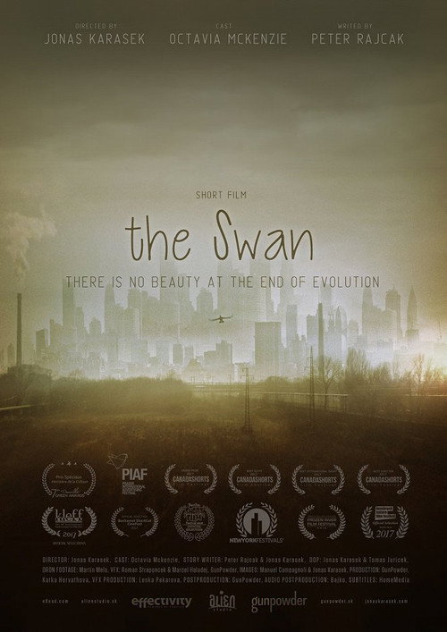 Movie poster for The Swan (2017)