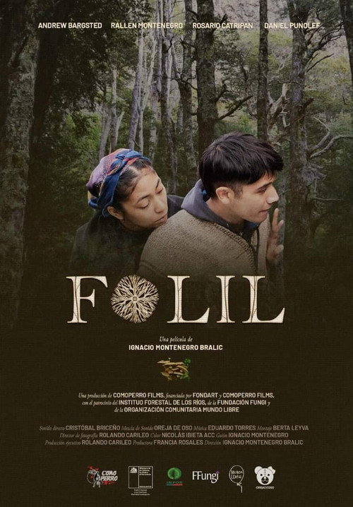 Movie poster for Folil (2020)