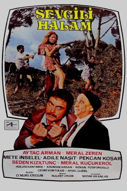 Sevgili Halam poster