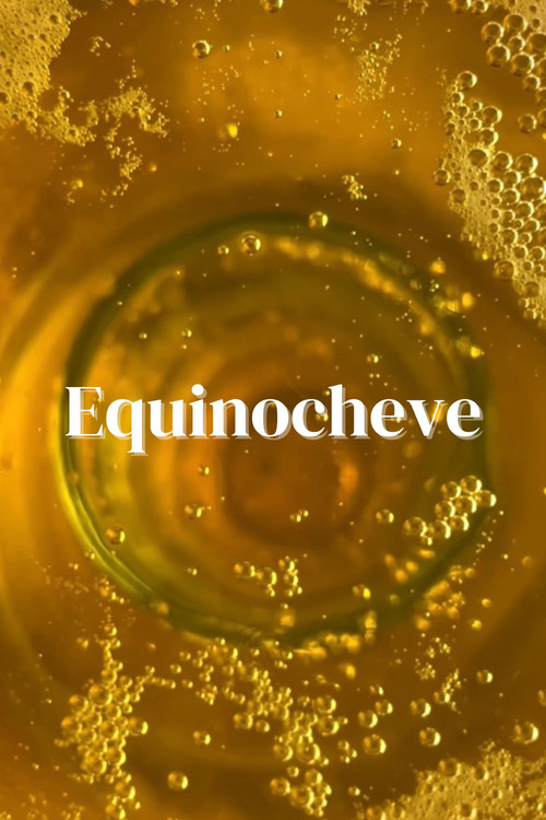 Movie poster for Equinocheve