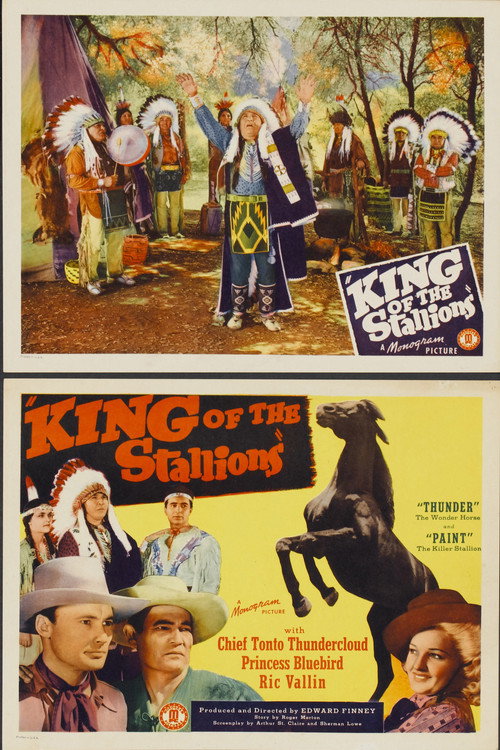 Movie poster for King of the Stallions (1942)