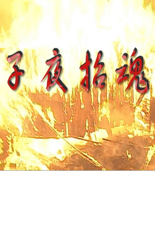 Movie poster for 子夜招魂 (2011)