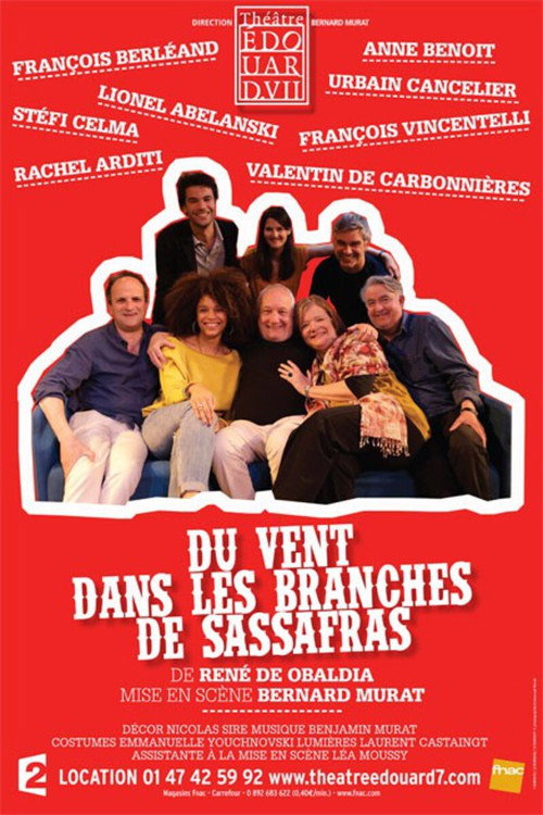 Movie poster for Du vent dans les branches de sassafras (2016)
