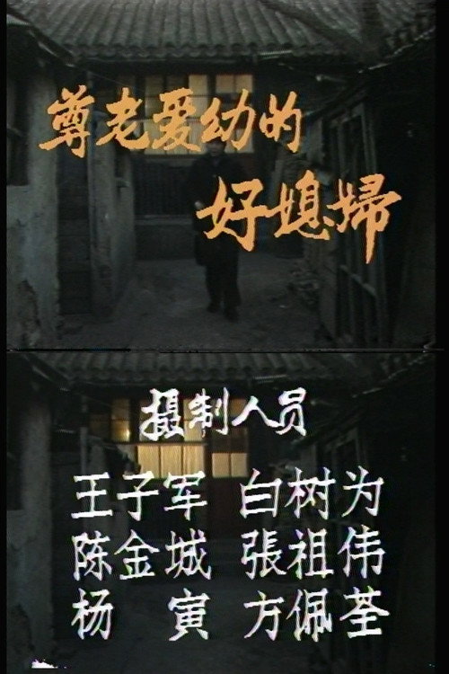 Movie poster for A Good Caring Wife (1986)
