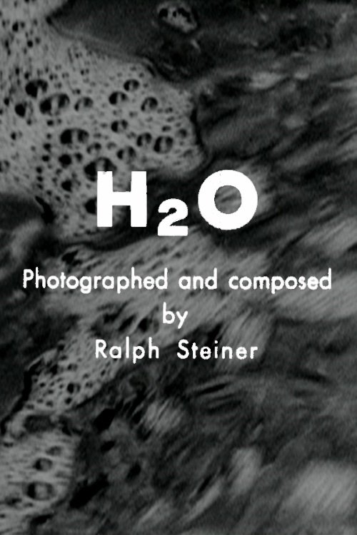 Movie poster for H₂O (1929)