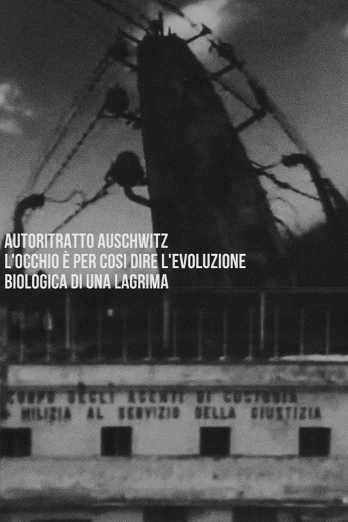 Movie poster for Autoritratto Auschwitz. L'occhio è per così dire l'evoluzione biologica di una lagrima (2007)