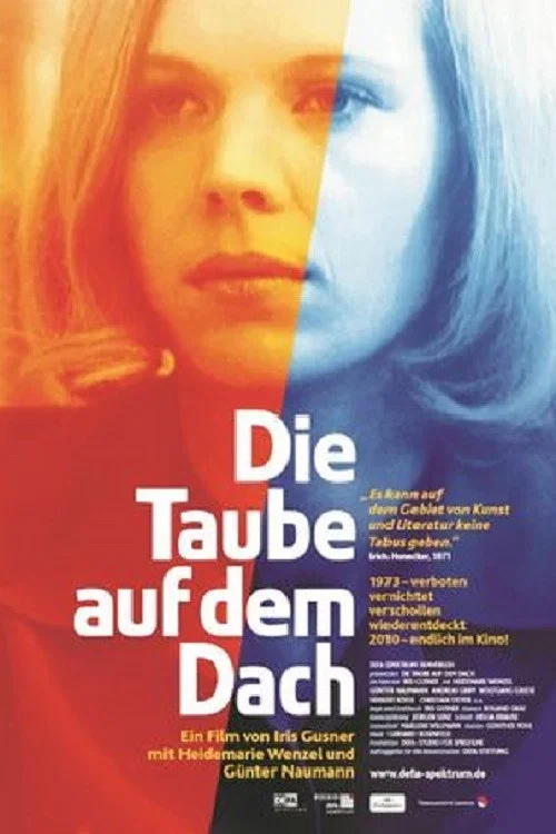 Movie poster for The Dove on the Roof (1990)