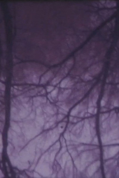 Movie poster for The Burning Tree (1968)