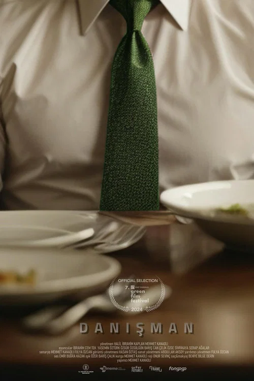 Movie poster for The Consultant (2024)