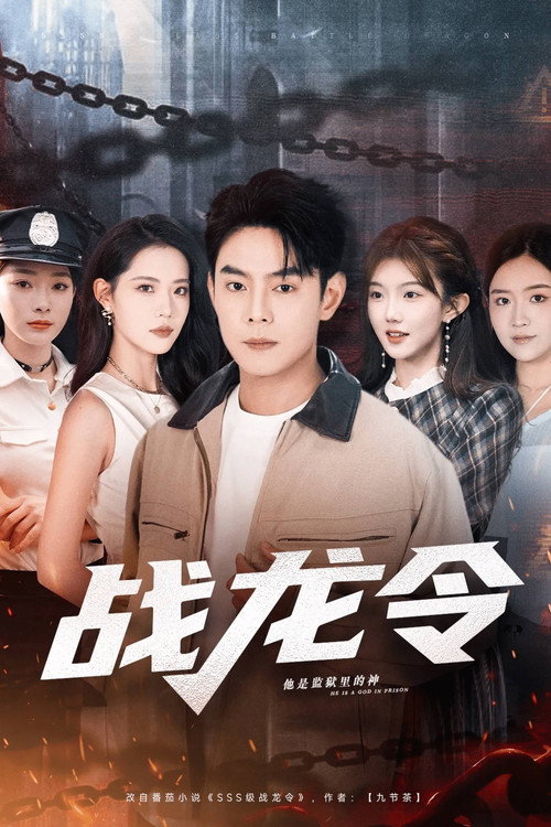 Series poster for 战龙令
