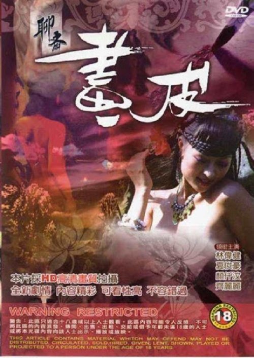 Movie poster for The Ghost Story: Printskin (2009)