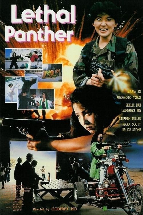 Movie poster for Lethal Panther (1990)