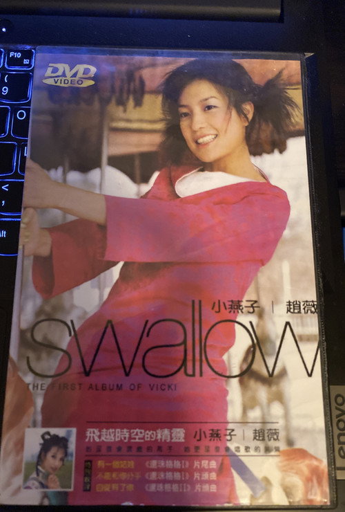 Movie poster for Swallow (1999)