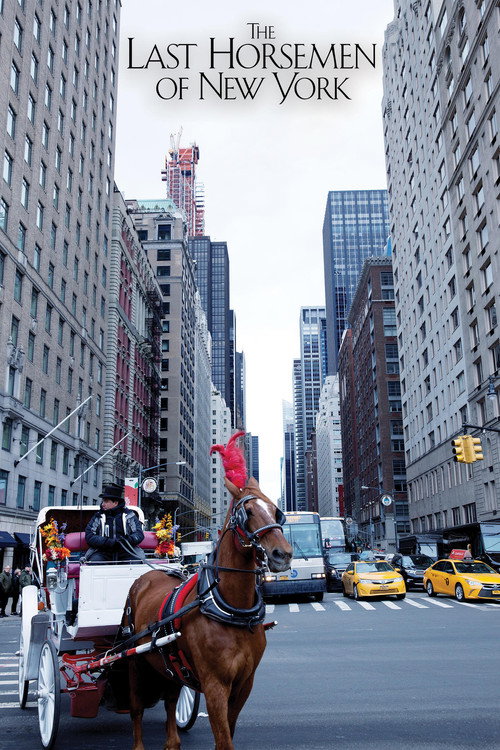 Movie poster for The Last Horsemen of New York (2018)