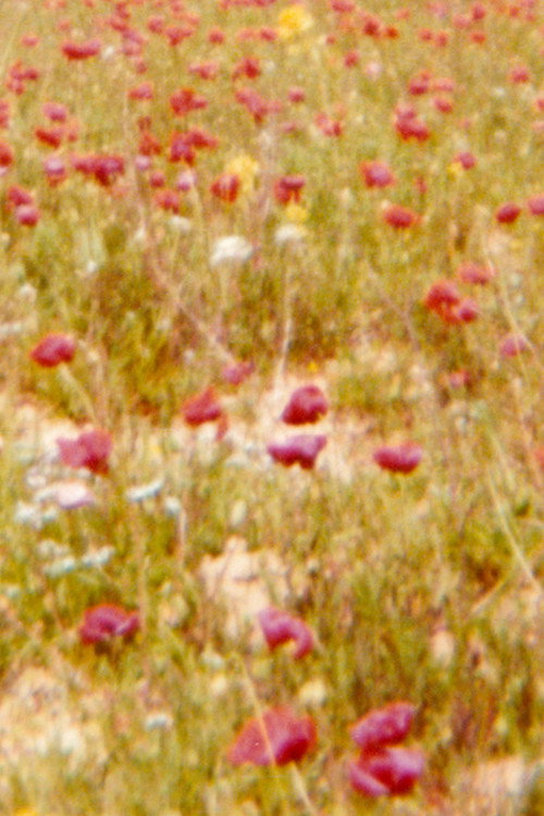 Contra o inverno poster