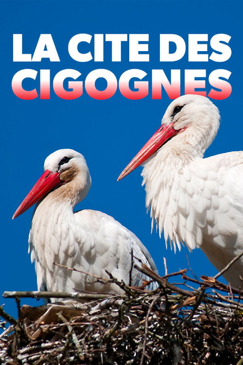 Movie poster for Klappern gehört zum Geschäft: Europas größtes Storchendorf