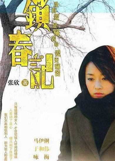锁春记 poster