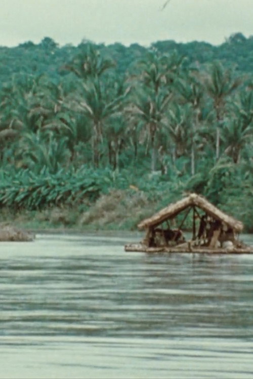 Movie poster for The Raft (1970)