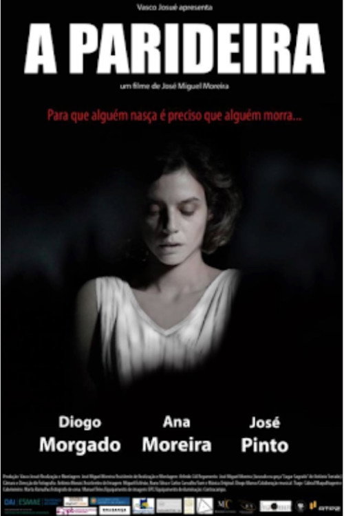 Movie poster for A Parideira (2011)