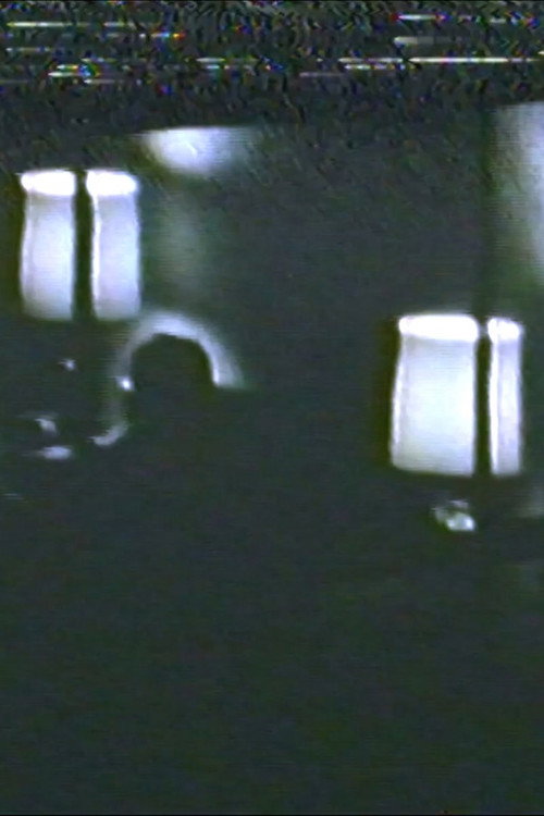 Movie poster for Audio and Visual Experiment 20 (2024)
