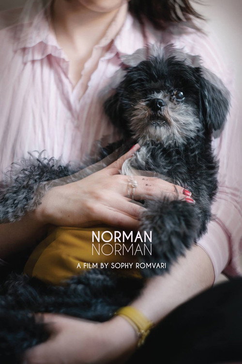 Movie poster for Norman Norman (2018)