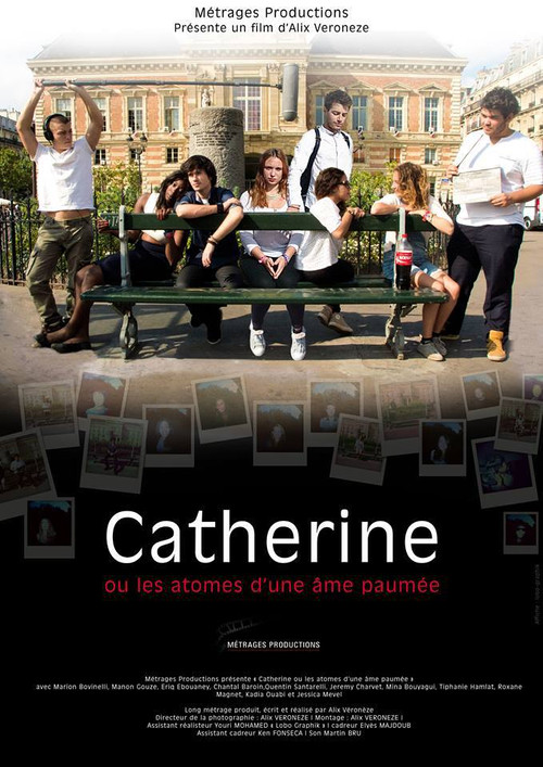 Movie poster for Catherine ou les atomes d'une âme paumée (2015)