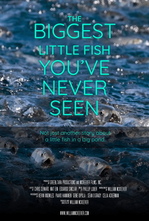 Movie poster for The Biggest Little Fish You've Never Seen (2024)