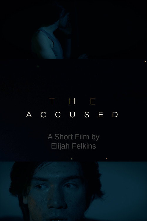 Movie poster for The Accused (2024)