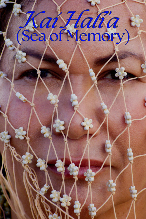 Movie poster for Sea of Memory (2024)