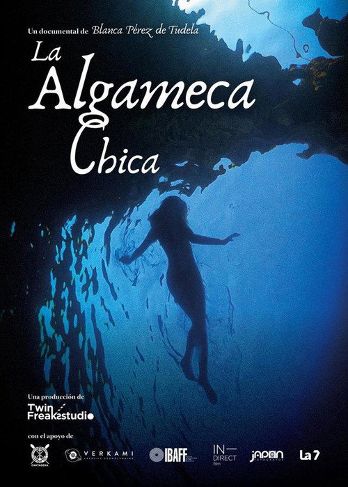 Movie poster for La Algameca Chica