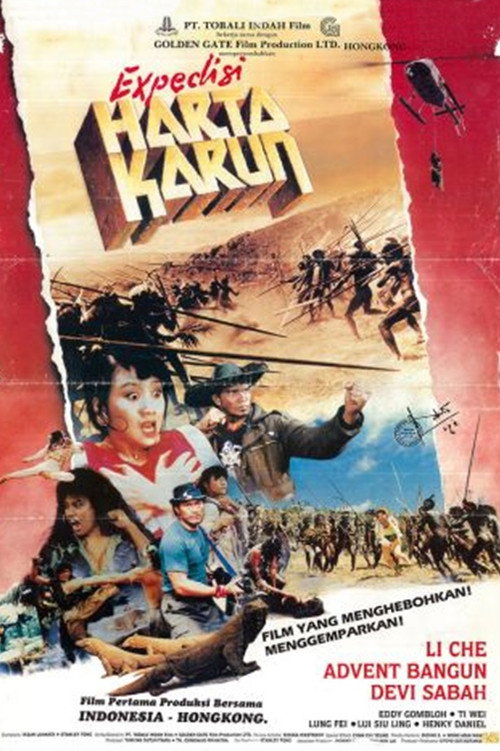 Movie poster for Treasure Expedition (1990)