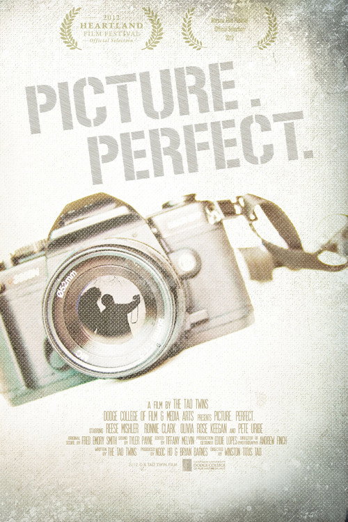 Movie poster for Picture. Perfect. (2012)