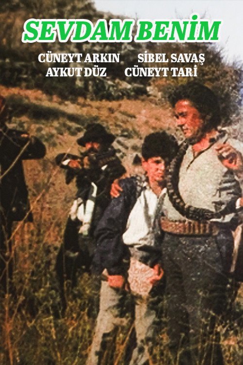 Movie poster for Sevdam Benim (1987)