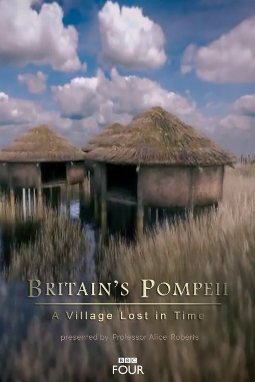 Movie poster for Britain's Pompeii: A Village Lost in Time (2016)