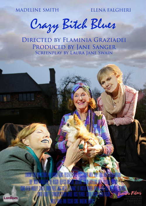 Movie poster for Crazy Bitch Blues (2020)