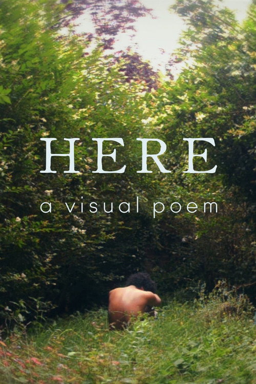 Movie poster for Here: A Visual Poem (2018)