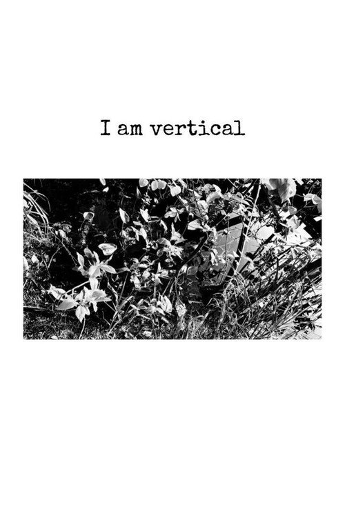 Movie poster for I Am Vertical (2025)