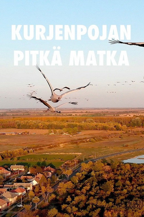 Movie poster for A Young Crane's Long Journey (2021)