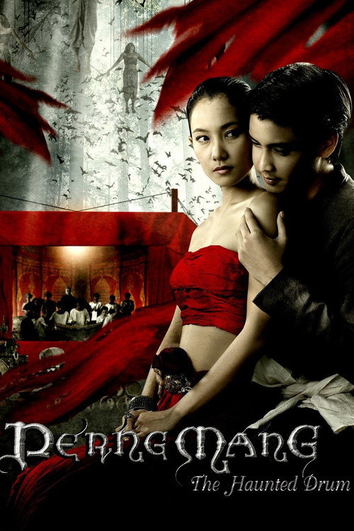 Movie poster for The Haunted Drum (2007)
