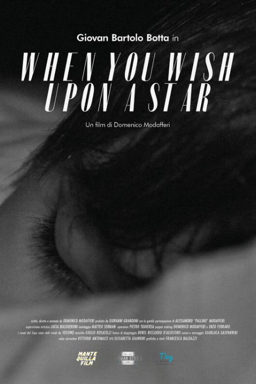 Movie poster for When You Wish Upon a Star (2022)