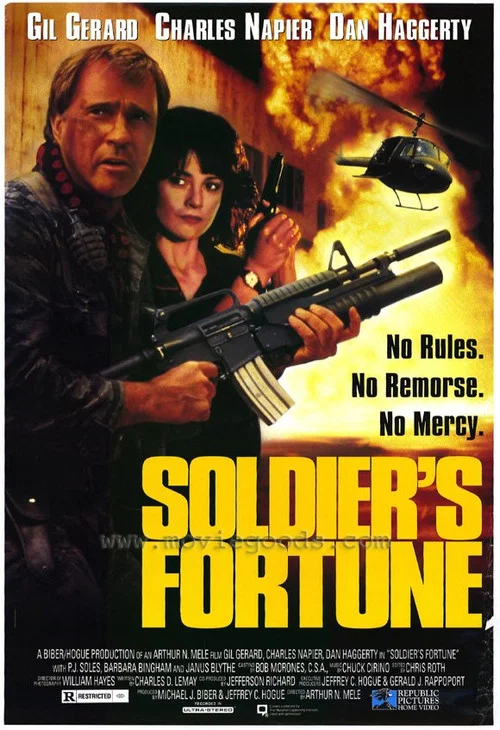 Movie poster for Soldier's Fortune (1991)
