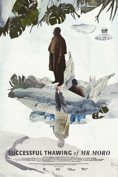 Movie poster for Successful Thawing of Mr Moro (2021)