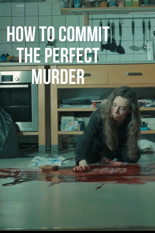 Movie poster for How to commit the perfect murder (2025)
