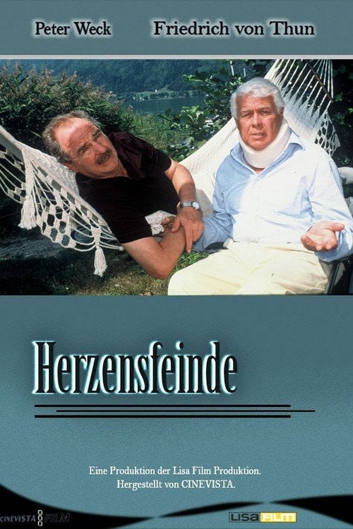 Movie poster for Herzensfeinde (2001)