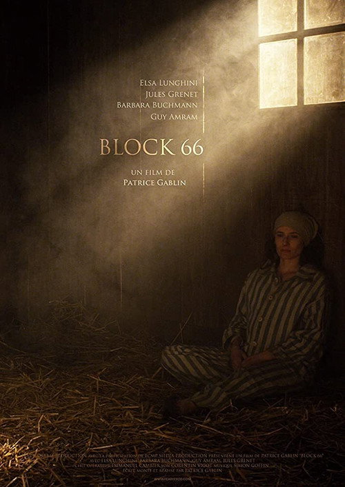 Movie poster for Block 66 (2011)
